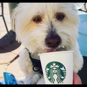 Meet your Posher, Junko